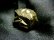 画像3: ◆邪気払いの石◆パイライト原石・１９ｇ◆金色に輝く結晶 (3)