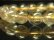 画像7: 【写真現物】　ゴールドルチルクォーツブレスレット　金針水晶数珠　１０-１１ミリ　２９ｇ　ＲＺ８６　開運招来　レディースメンズ　パワーストーン　ルチル　開運　１点物　目玉　贈り物プレゼントに