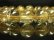 画像5: 写真現品一点物　最強金運数珠　タイチンルチルブレスレット　金針水晶　１４ミリ　６７ｇ　ＧＴＲ９　開運天然石　レディースメンズ　パワーストーン　ルチル　開運　１点物