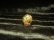 画像6: 写真現品一粒売り タイチンルチル 金針水晶 １４ミリ ＫＹＴ５１ ハンドメイド クォーツ 天然石パワーストーン 開運 最強金運
