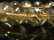 画像9: オススメ 現品一点物 スモーキーゴールドルチル ブレスレット 金針水晶数珠 １６ミリ ８７ｇ ＳＧＲ１ 最強金運パワーストーン ルチル 水晶 １点物 送料無料 メンズ レディース 　　 イベント 旅行の御守り 母の日 誕生日