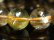 画像6: イチオシ １１－１２ミリ 現品一点物 スモーキーゴールドルチル ブレスレット 金針水晶数珠 ４１ｇ ＳＧＲ１４ 最強金運 パワーストーン タイチンルチル 水晶 １点物 送料無料 メンズ レディース 　 イベント 旅行の御守り 母の日 誕生日