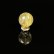 画像7: 【無数に光り輝く金針が美しい】ゴールドルチルクォーツ 金針水晶 10ミリ ＫＹＧ５ お守り効果 天然石 ギフト 京海堂