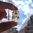 画像11: 虹の光が神秘的  ゴールドルチル  クォーツ  貔貅  ヒキュウ  HKR8  14g  水晶のお守り効果  金銀財宝を集める  ギフト  / 誕プレ 魔除け 運気向上 お揃い プレゼント お祝  高品質 / 京海堂