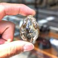 画像10: 金のオーラがすごい  ゴールド  タイチンルチル  クォーツ  龍亀  ロングイ  Lng4  37g  金色の座布団＆台座付  順利財源廣進をもたらす縁起物 / 誕プレ 魔除け 運気向上 お揃い プレゼント お祝  高品質 / 京海堂