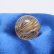 画像19: 透明感と綺麗な金針魅力のスフィア  一点物 ゴールド タイチンルチル スフィア 約23mm 16ｇ RSF10【動画有】 縁起が良い 水晶のお守り効果 目標達成の力  誕生日 贈り物 プレゼントにも ギフト 京海堂