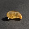 画像16: 【透明な中に輝く金針  先端に輝くタイチンルチル】人気  勾玉  ゴールド  ルチル  クォーツ  一点物【  KMr50】お守り効果  力が宿る  パワーストーン  願い叶える  プレゼント  守護石  / プレゼント お祝 高品質 / 京海堂