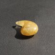 画像6: 【  鋭さがかっこいい  邪を払い幸運を掴む濃密金針  】一点物  ゴールド  ルチルクォーツ  勾玉  【  KMr48  】お守り効果  パワーストーン  贈り物  / プレゼント お祝 高品質 / 京海堂