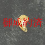 画像: 光り輝く 現品一点物 ゴールドルチル 勾玉 Ｍｒ４０ 金針水晶 お守り 不思議な力 天然石 パワーストーン 人気 ネックレス ルチル クォーツ 誕生日 贈り物 プレゼントにも ギフト