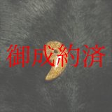 画像: おすすめ 現品一点物 濃密 ゴールドルチル 勾玉 Ｍｒ４４ 金針水晶 お守り 不思議な力 天然石 パワーストーン 人気 ネックレス ルチル クォーツ 誕生日 贈り物 プレゼントにも ギフト