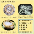 画像22: 最高峰ランク金針ルチル12mm 一点物【GRHT1】透明感が段違いクォーツ 【大開運セット付】 商品動画あり 合格祈願 ギフト 父の日 母の日プレゼント 贈り物